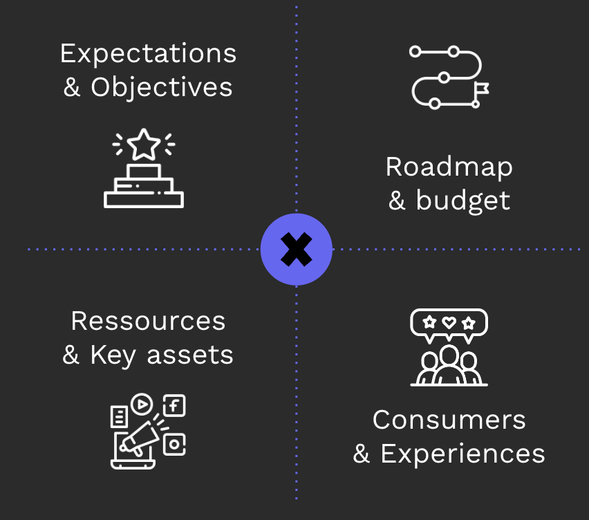 Expectations and Objectives, Roadmap & Budget, Resources and Key Assets, Consumers and Experiences