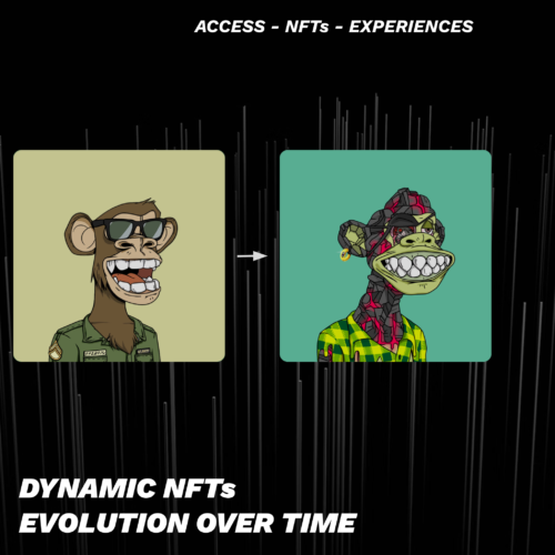 Dynamic NFTs, Evolution over time