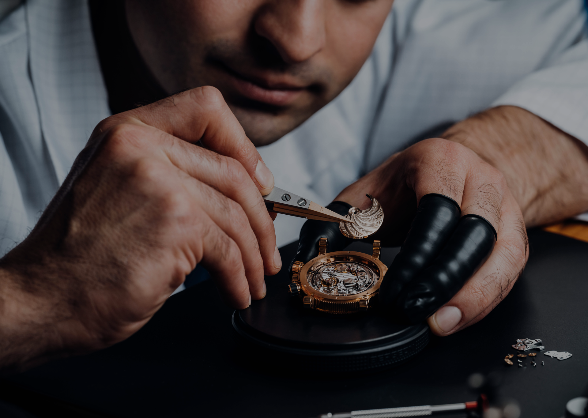 Luxury Watch Program Launch